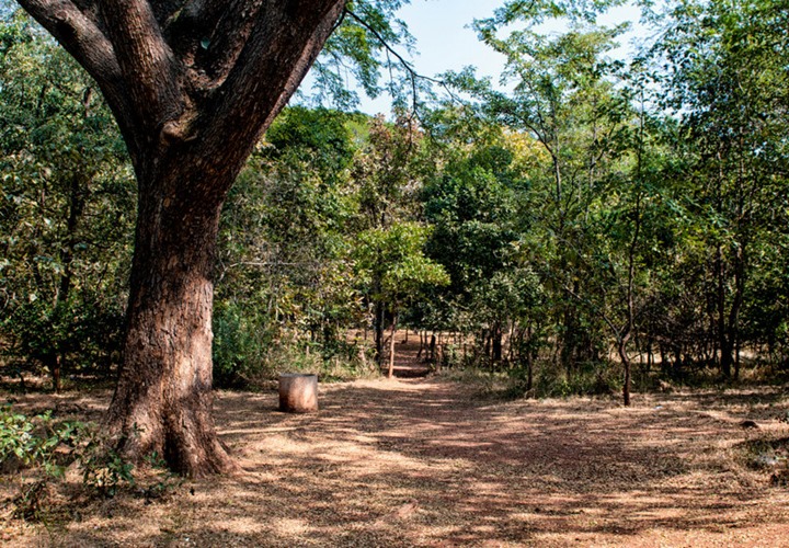 In the "Jungle" Andhra Pradesh