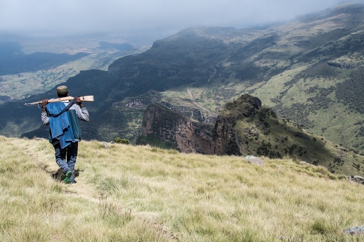 Scout in the Simien Mountains - Ethiopia