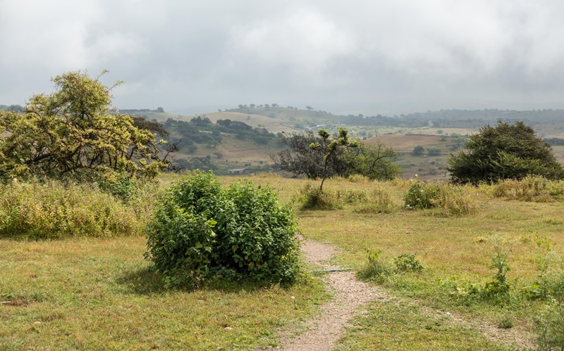 Green Hills in Salalah Oman