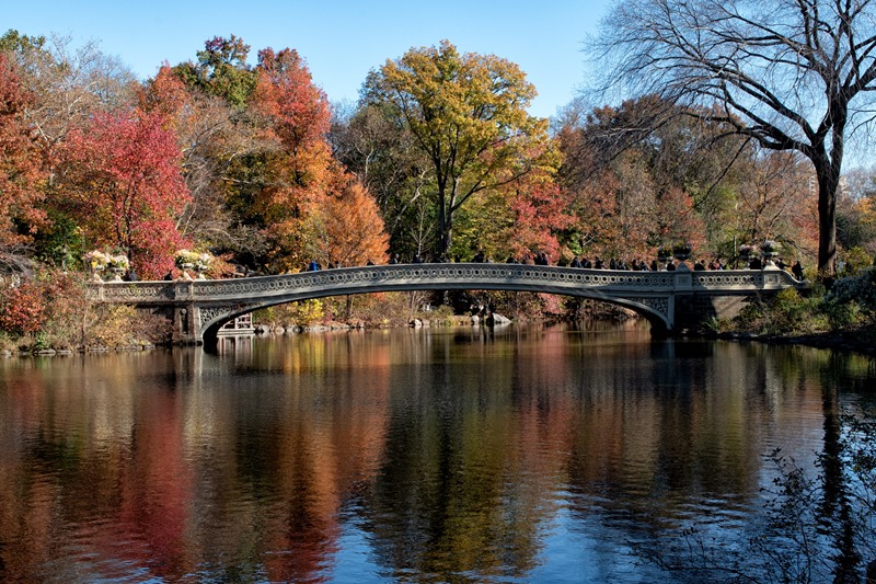 Central Park - NYC Central Park - NYC