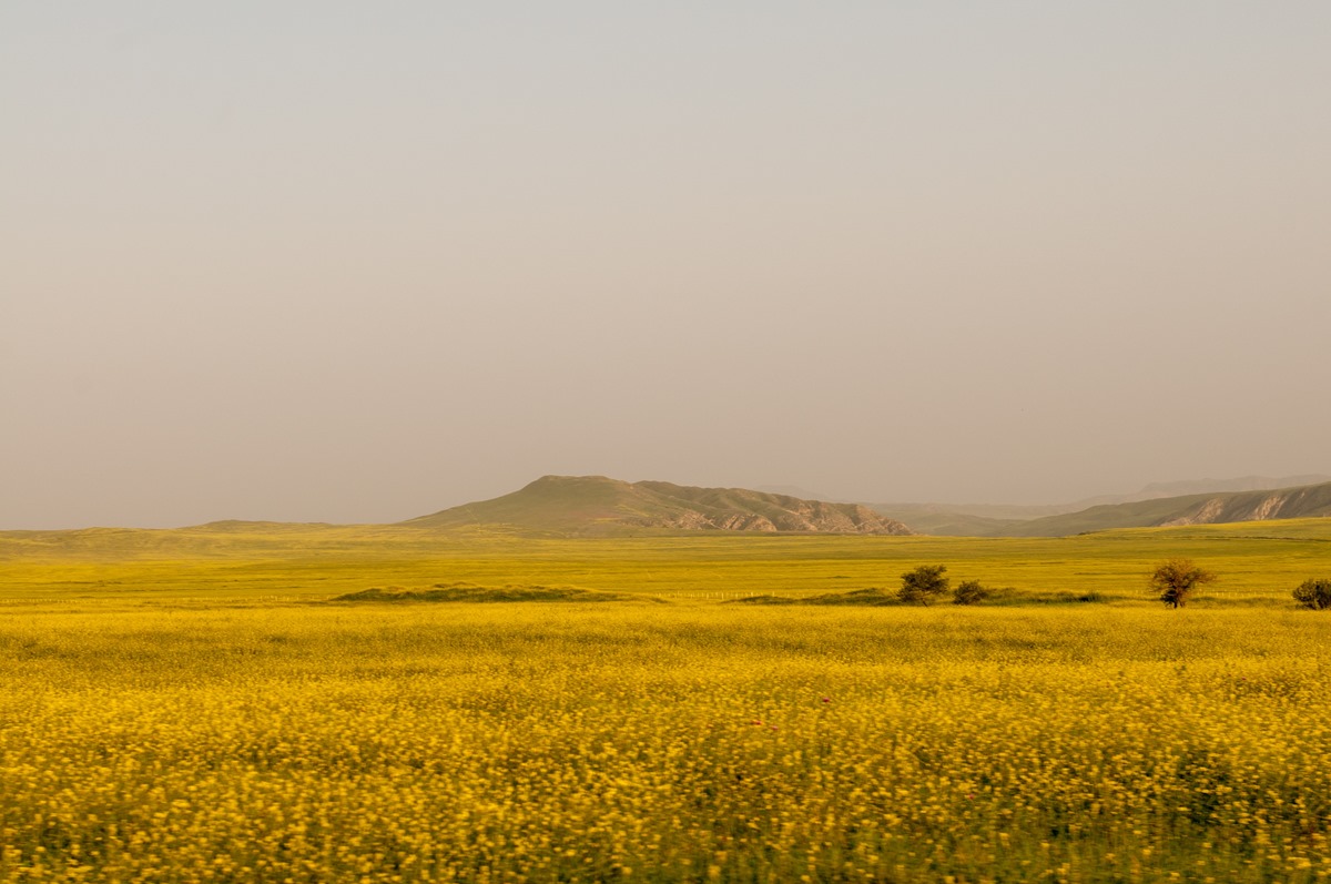 Getting to David Gareja - Georgia