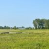 View of River Raisin National Battlefield - Michigan