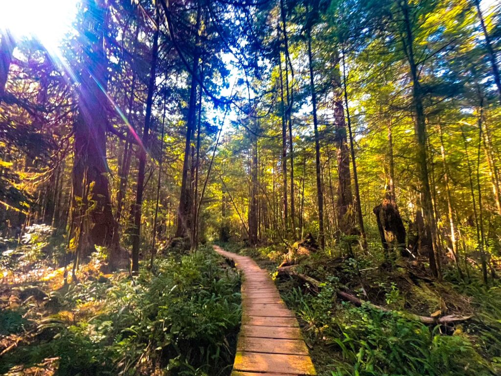 Hiking to Cape Alava - Olympic National Park - Washington