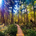 Hiking to Cape Alava - Olympic National Park - Washington