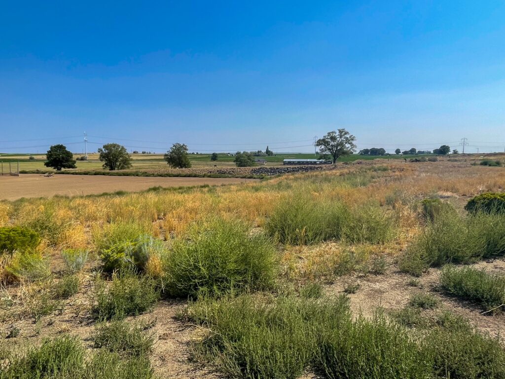 View of the Land of Minidoka