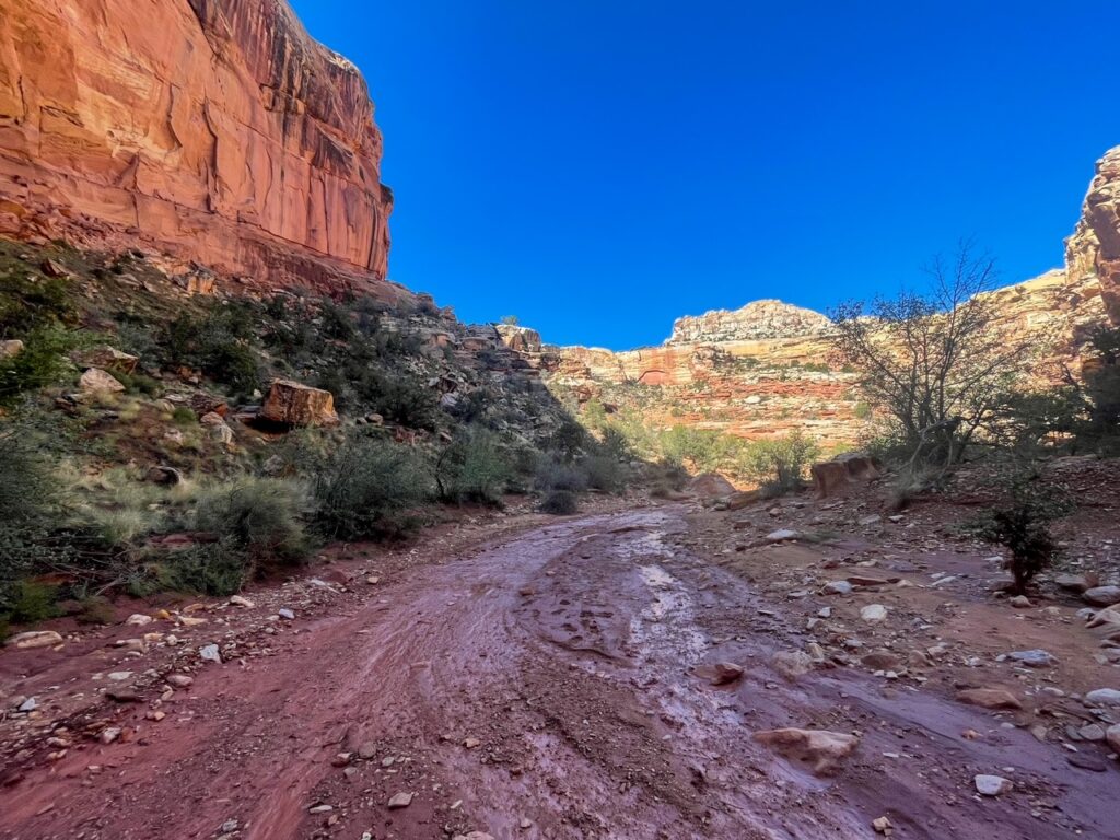 After the Narrows in the Grand Wash - Capitol Reef NP