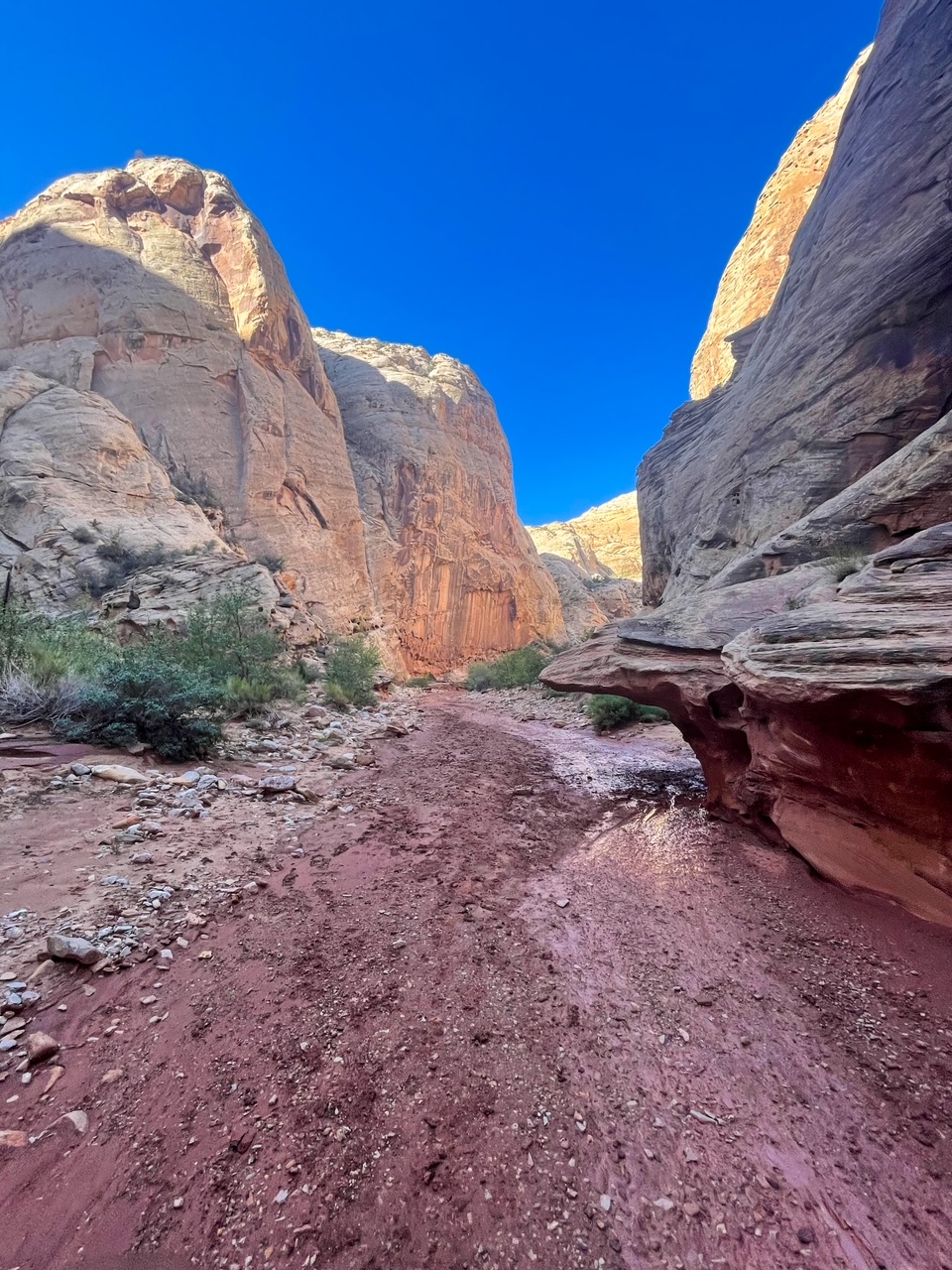 Hiking in the Grand Wash - Capitol Reef NP