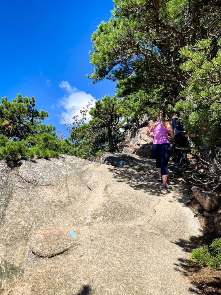 Trail Ascending and Rocks on the Beehive Hike - Acadia NP Ascending the Beehive Trail - Acadia National Park
