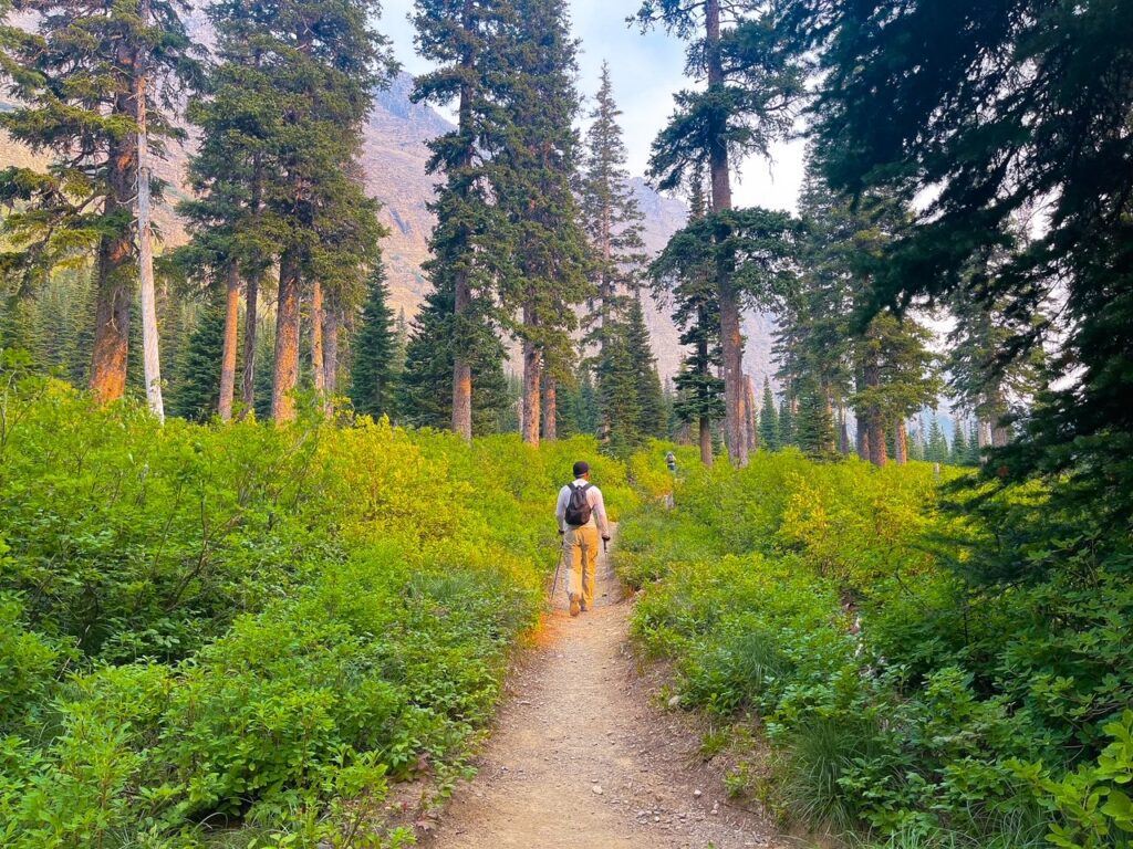 Trail gets more Woodsy - Hiking through the forest on the way to Ptarmigan Tunnel - Montana