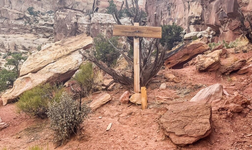 Not a Trail Hickman Bridge Hike Capitol Reef NP