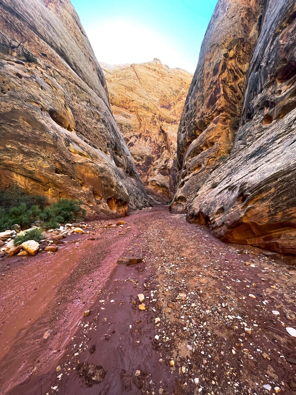 The Narrows - Capitol Reef NP