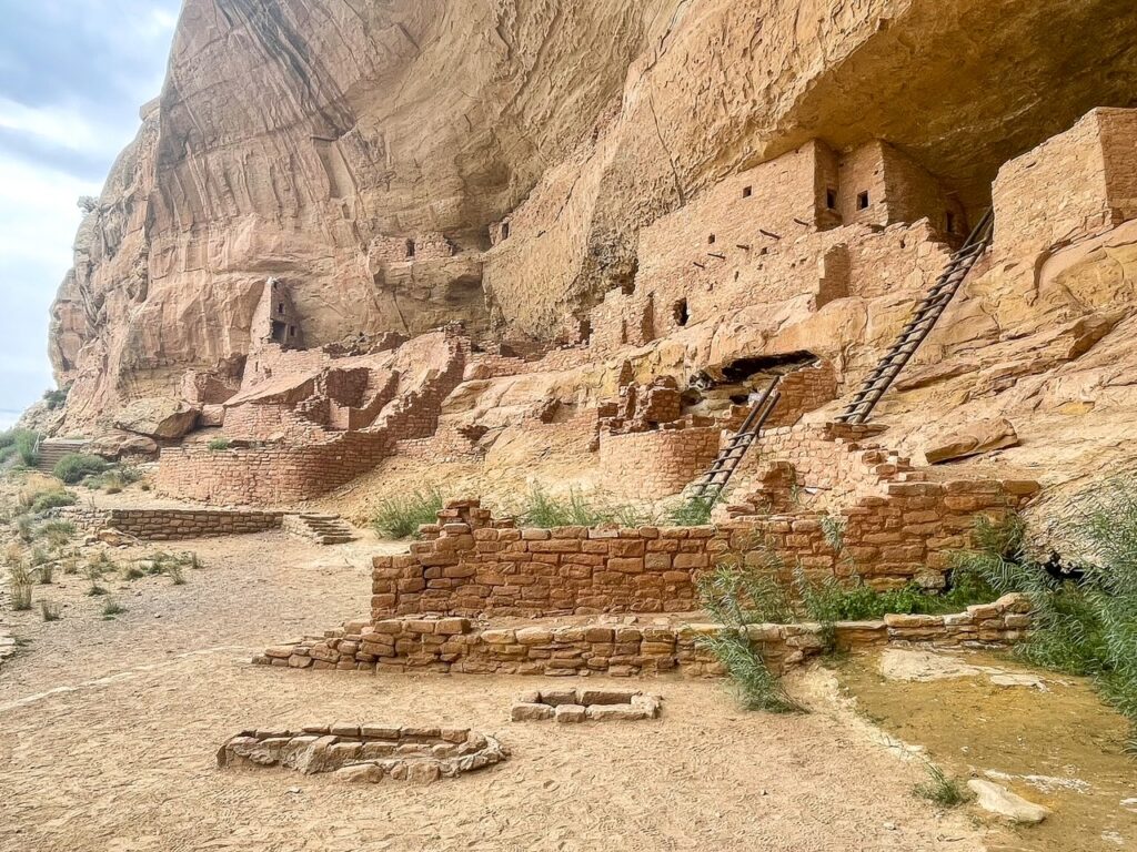 View from the Lower Level and Fire Pits on the Long House Cliff Dwelling Tour in Mesa Verde National Park