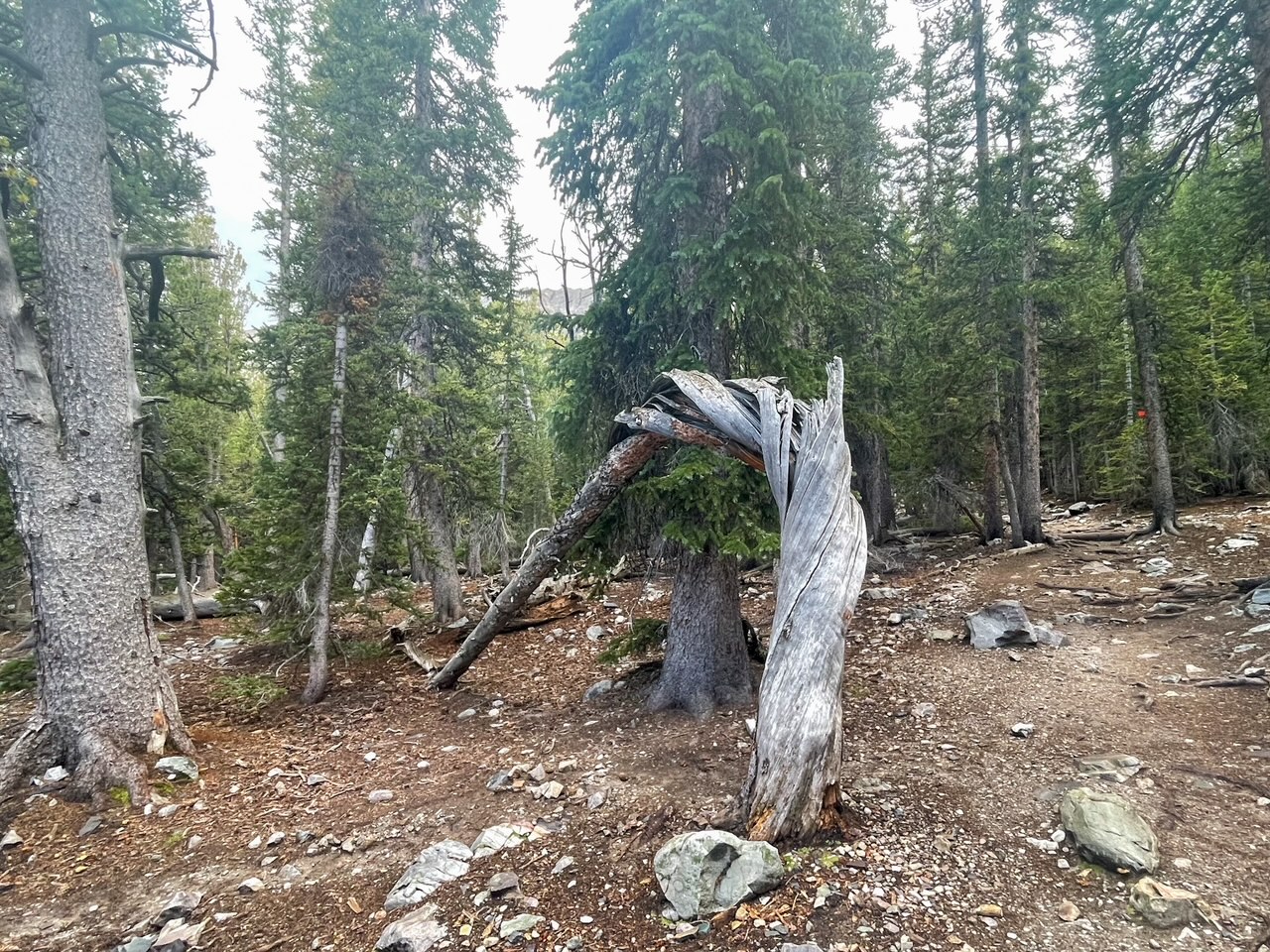 Alpine Lake Trail Return