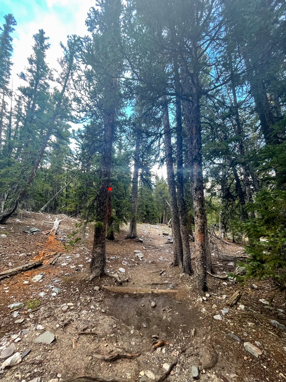 Alpine Lake Trail Return