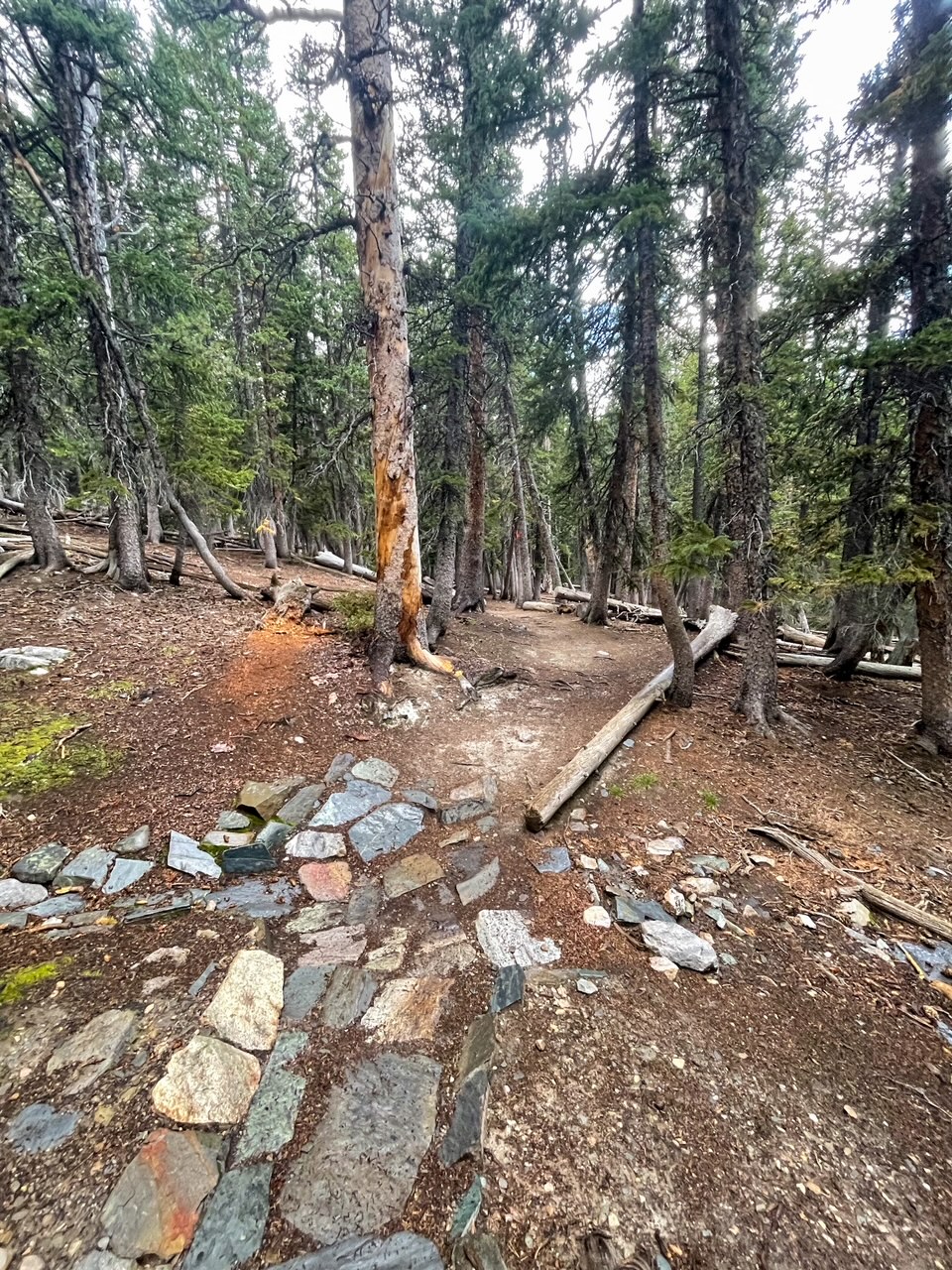 Alpine Lake Trail Return