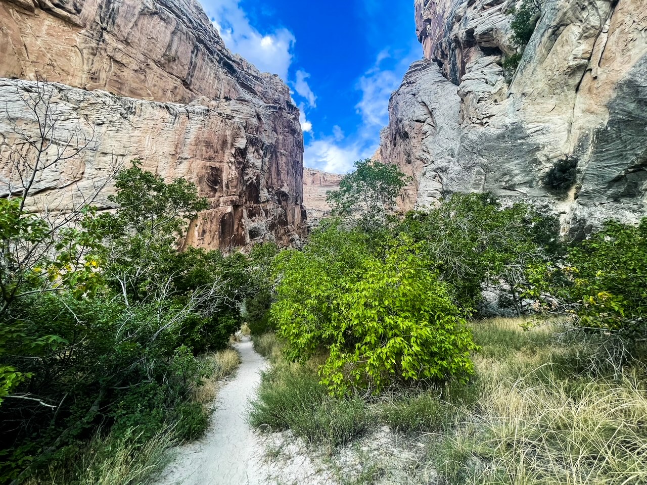 Guide to Exploring Dinosaur National Monument
