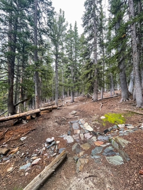 Bristlecone to Fork Trail - Alpine Lakes / Bristlecone Hike