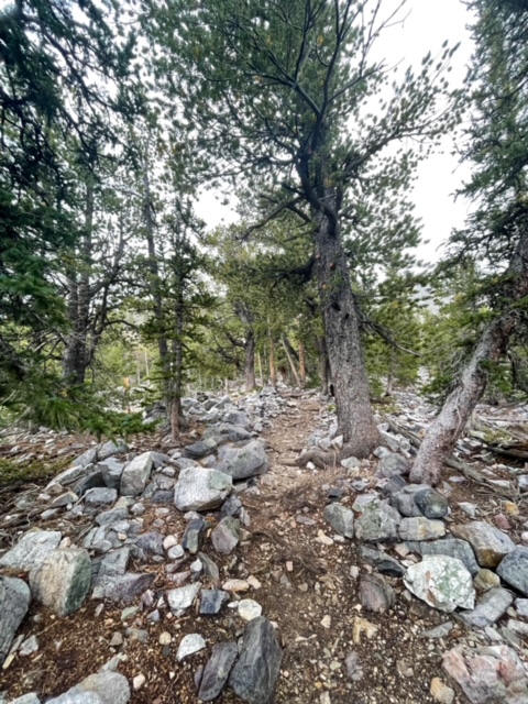 Bristlecone to Fork Trail - Alpine Lakes / Bristlecone Hike