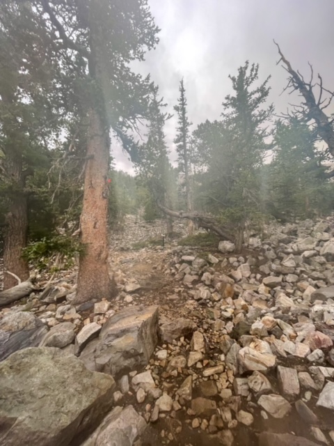 Bristlecone to Fork Trail - Alpine Lakes / Bristlecone Hike