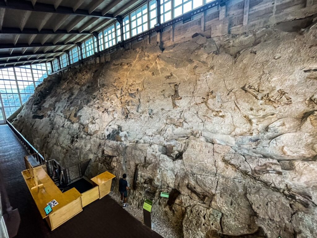 Dinosaur Quarry Exhibit Hall - Dinosaur National Monument