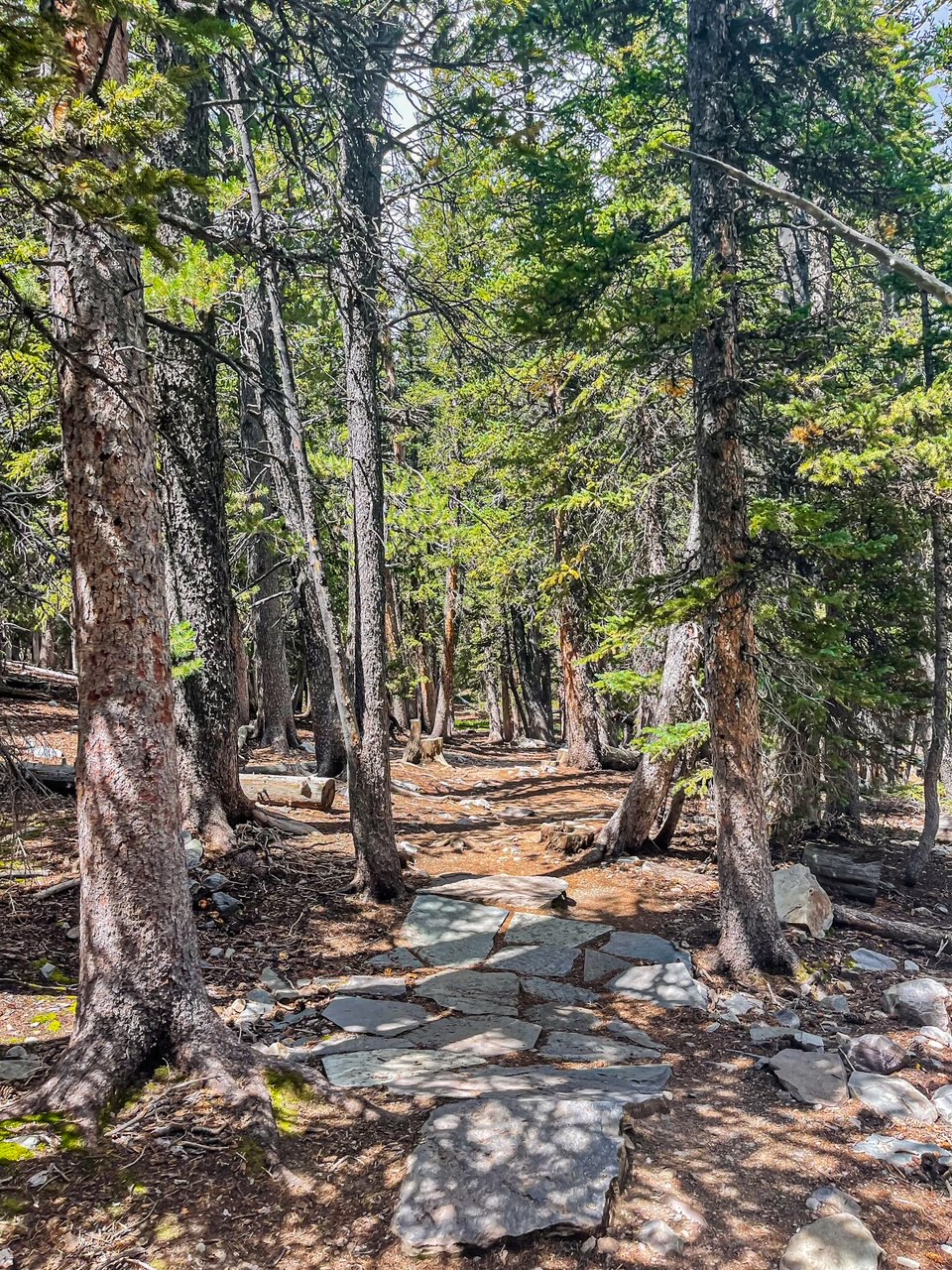 Hiking Alpine Lake Trail Great Basin NP