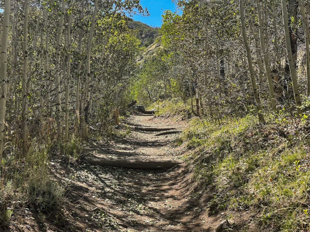 Mosca Pass Trail in Great Sand Dunes NP