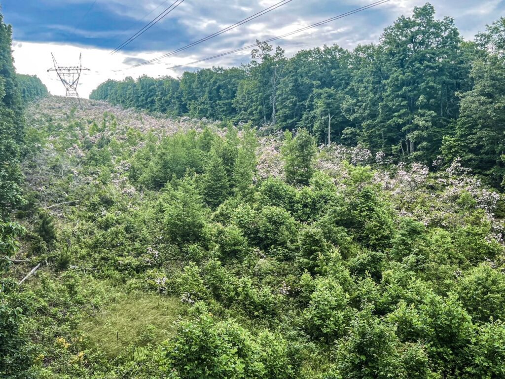 Power Lines Along McAfee Knob