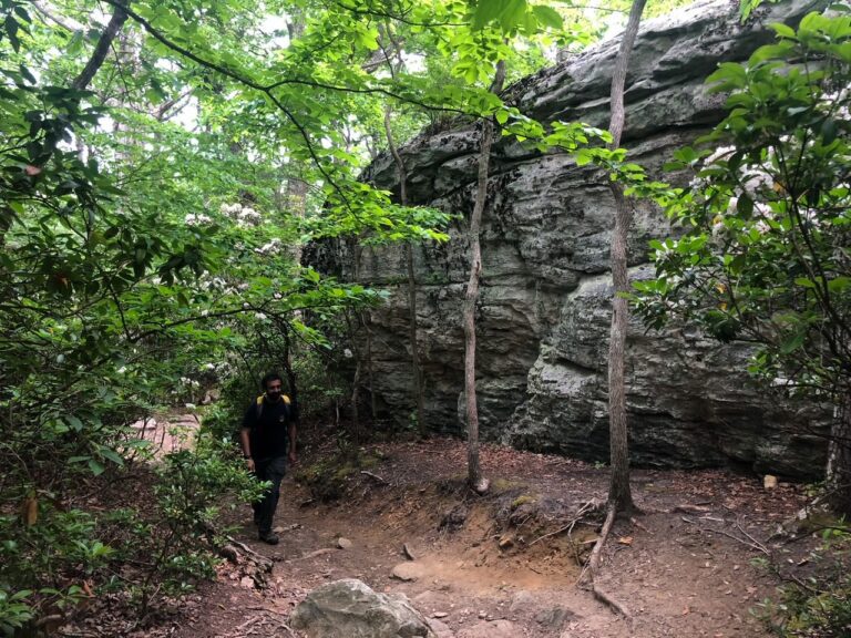 Guide To McAfee Knob Hike Virginia Appalachian Trail