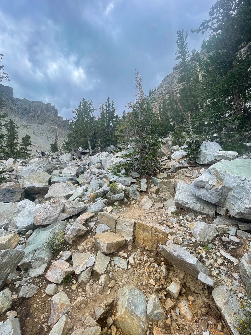 Trail to Bristlecone Glacier