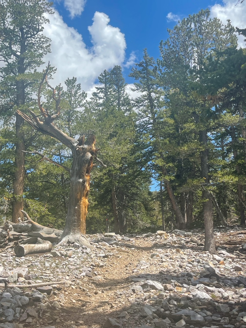 Walking the Alpine Lake Trail between Lakes