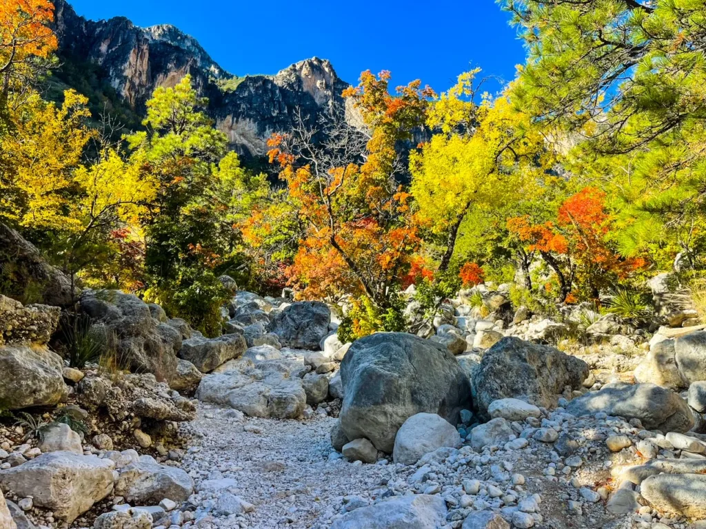 Fall Colors in Guadalupe Mountains National Park