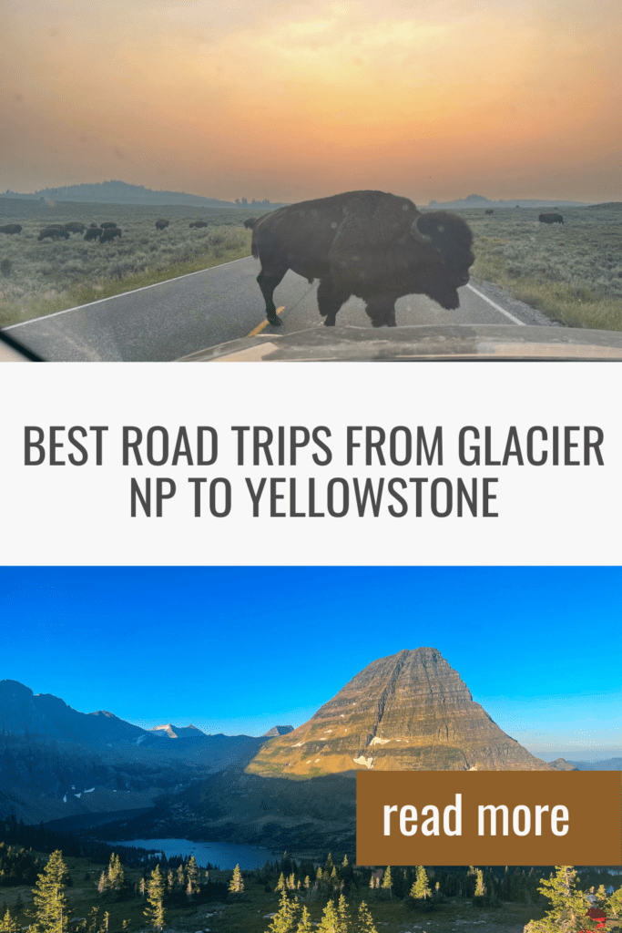 Pin It! Glacier NP to Yellowstone NP Road Trips