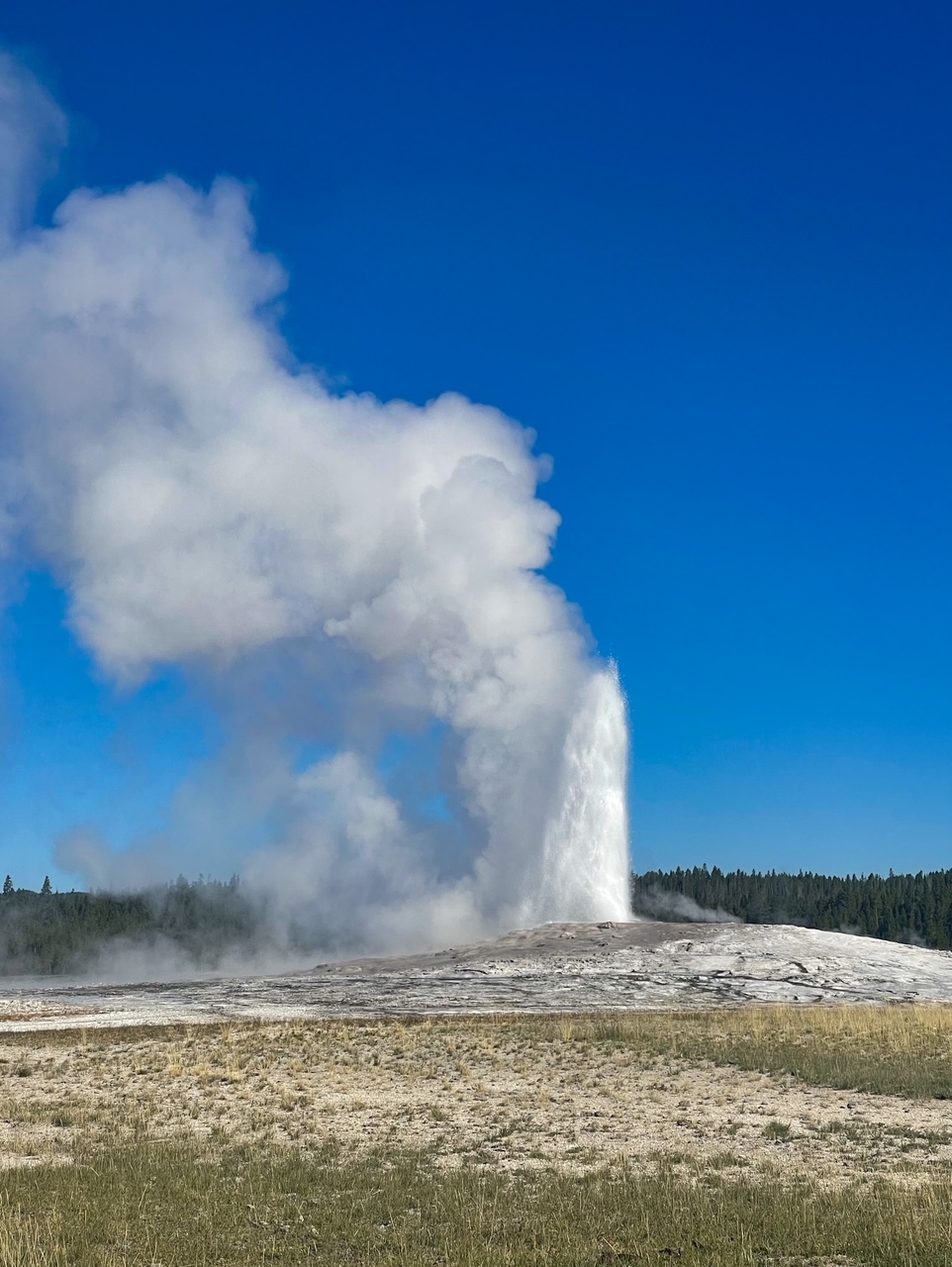 Old Faithful in Yellowstone NP