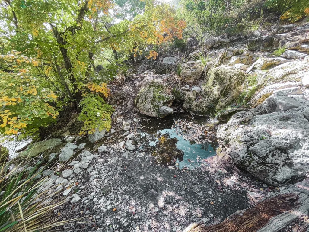 Smith Springs Hike in Guadalupe National Park