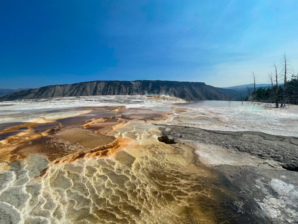 View of Mammoth Hot Springs in Yellowstone