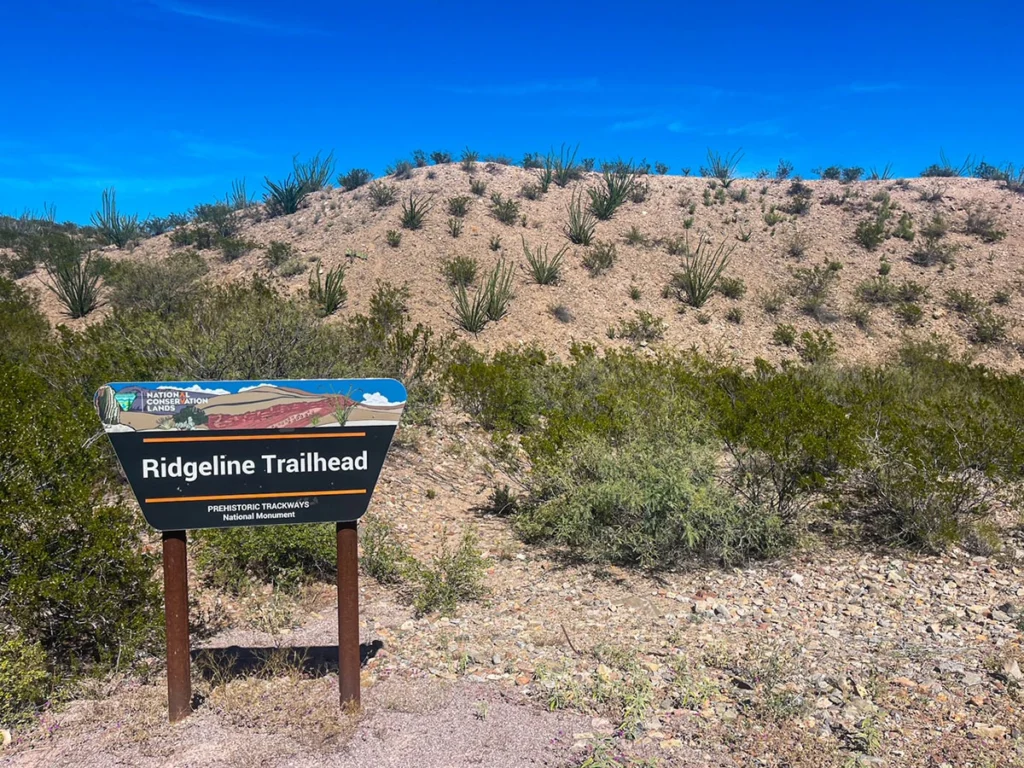 Ridgeline Trail in Prehistoric Trackways National Monument - Best Things to Do in Las Cruces New Mexico