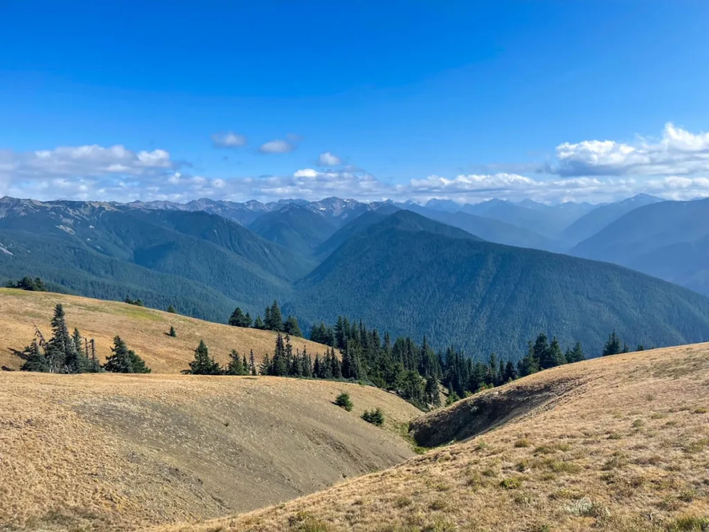 View from Hurricane Ridge - Olympic National Park Washington State