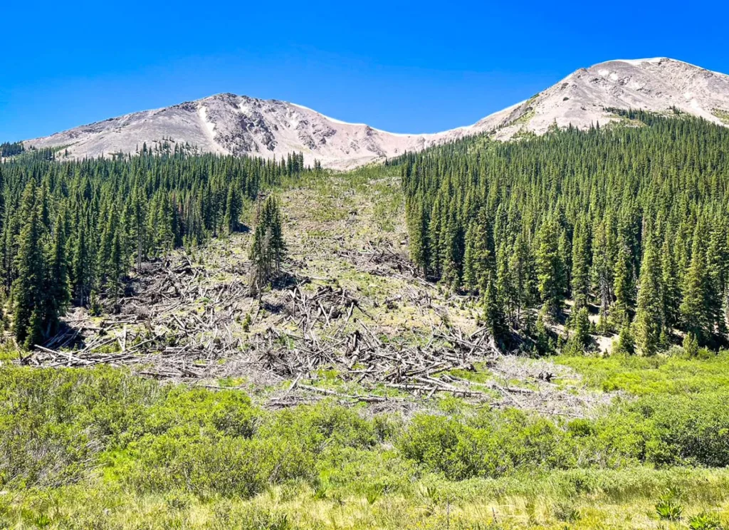 View of Avalanche-Landslide Independence Colorado
