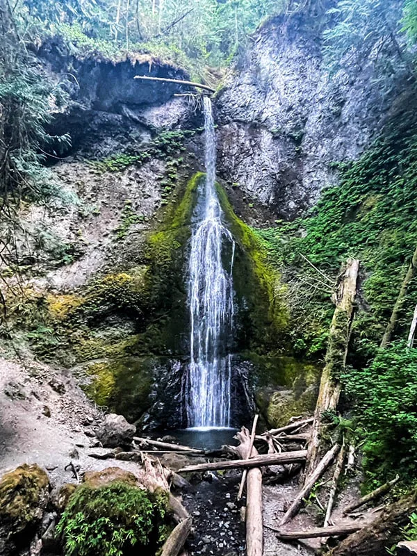 View of Marymere Falls in Olympic National park