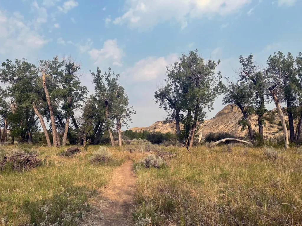 Start of Elkblom & Big Plateau Loop