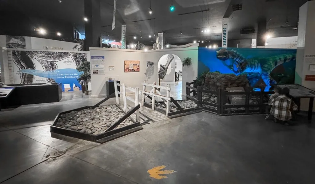 Dinosaur Journey Museum in Fruita Colorado
