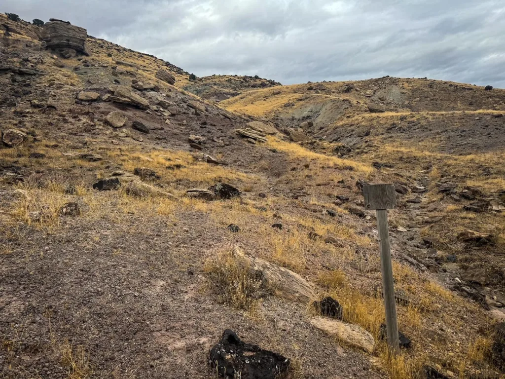 Mine Claim Marker on Trail through Time Colorado