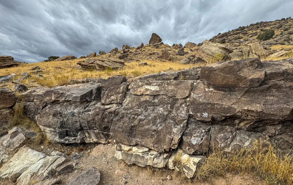 Spine and Vertebrae Fossils of Camarasaurus on Trail through Time