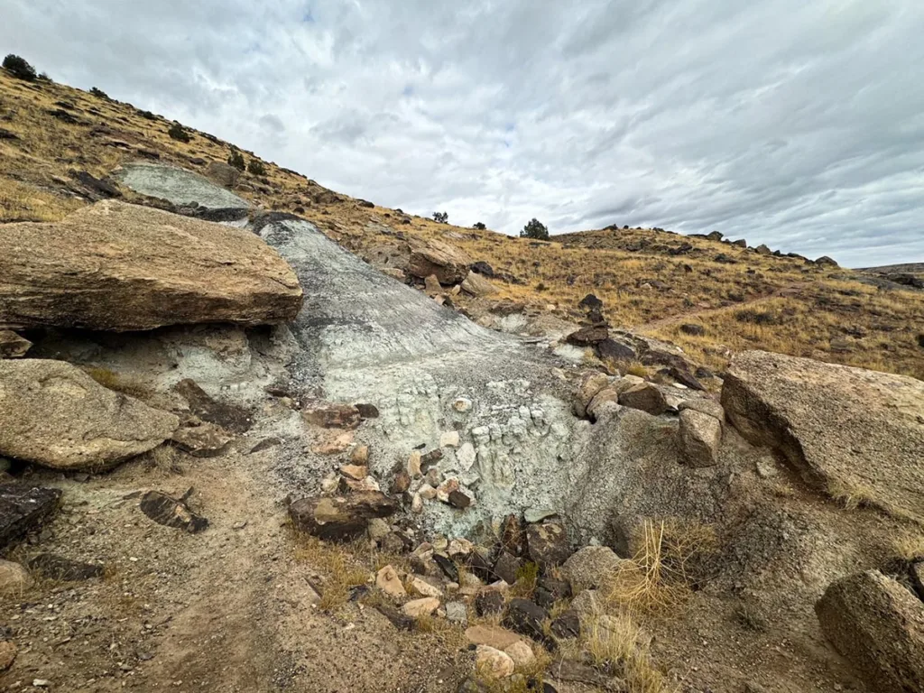 Trail View of Different Color Soil on Trail through Time Co