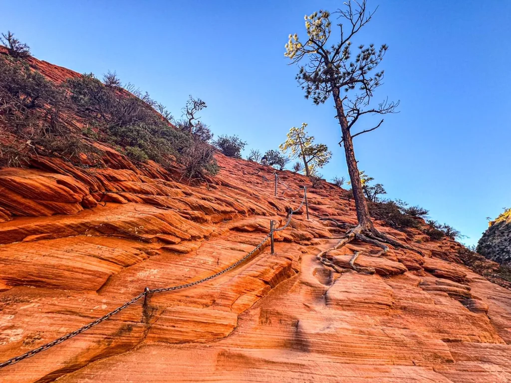 View of the Chains Along the Angel's Landing Hike in Zion National Park Utah