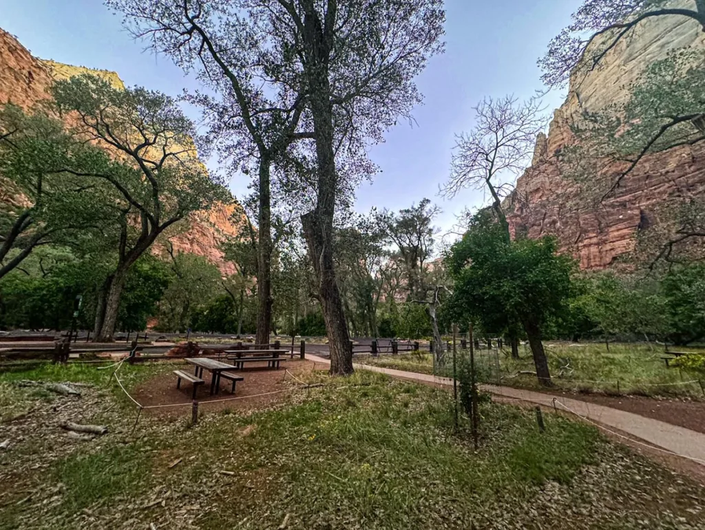 View of the Grotto Area from Bus Stop in Zion National Park