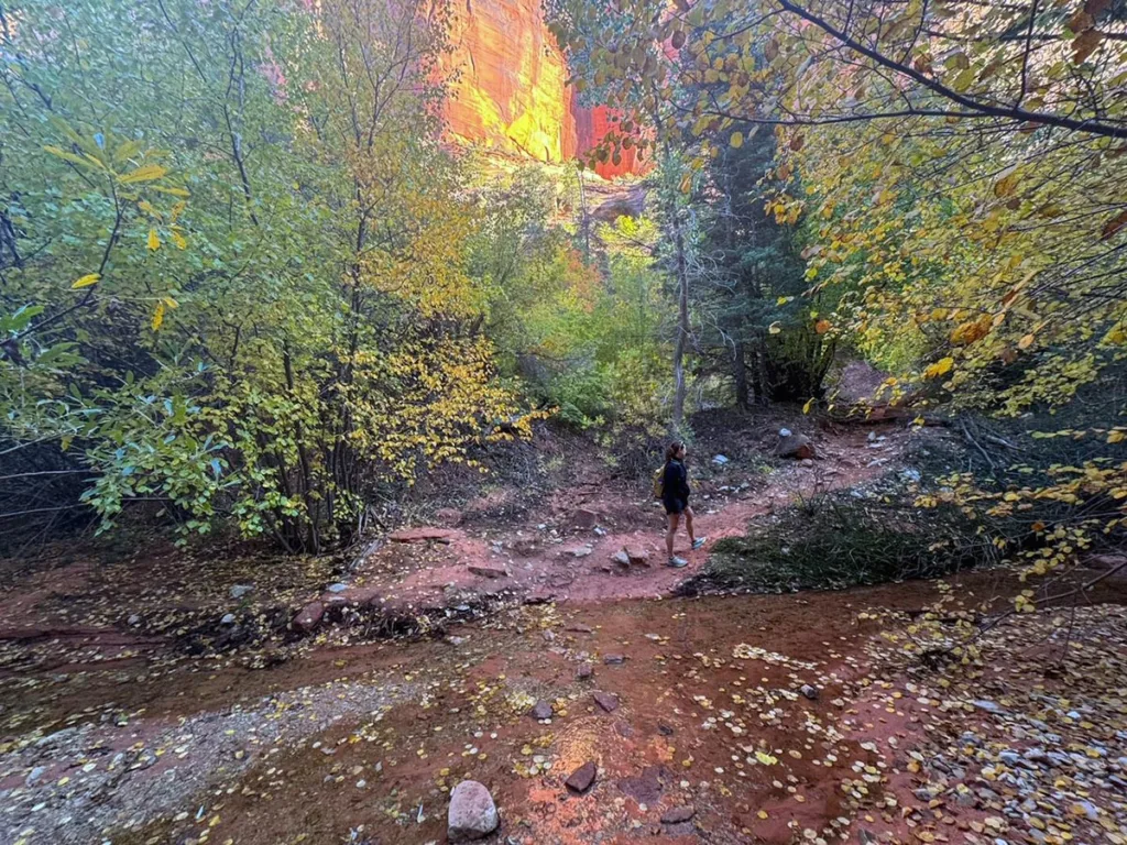 View of Colors and Trail in Taylor Creek Zion National Park