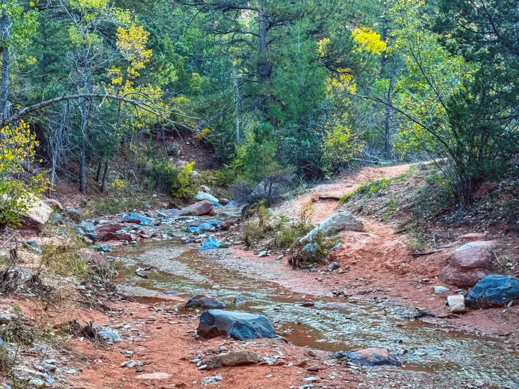 Water Crossing of Taylor Creek Trail in Zion National Park