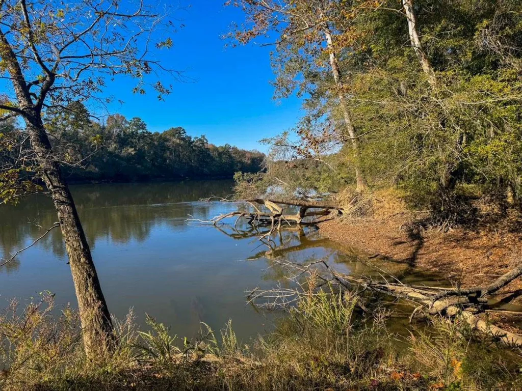 Bates Ferry Trail - Congaree National Park