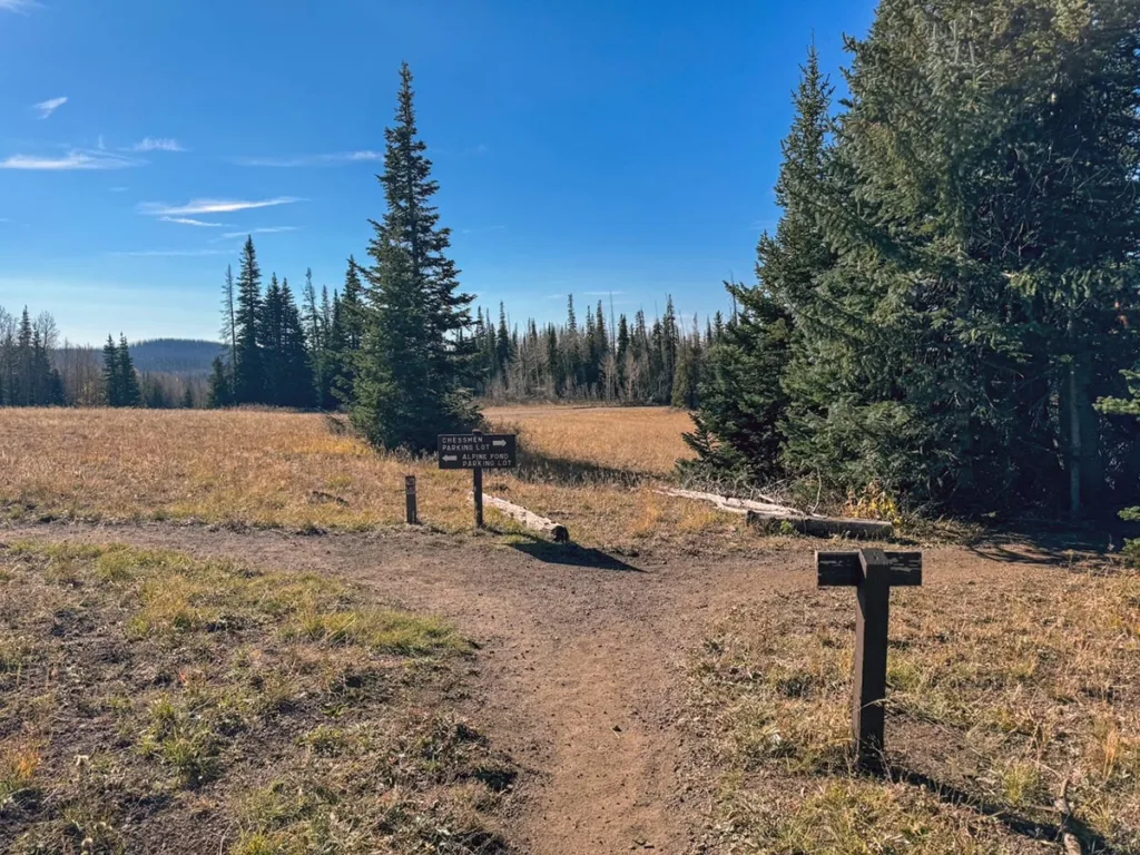 Intersection of Upper and Lower Trails near Yurt Cedar Breaks NM
